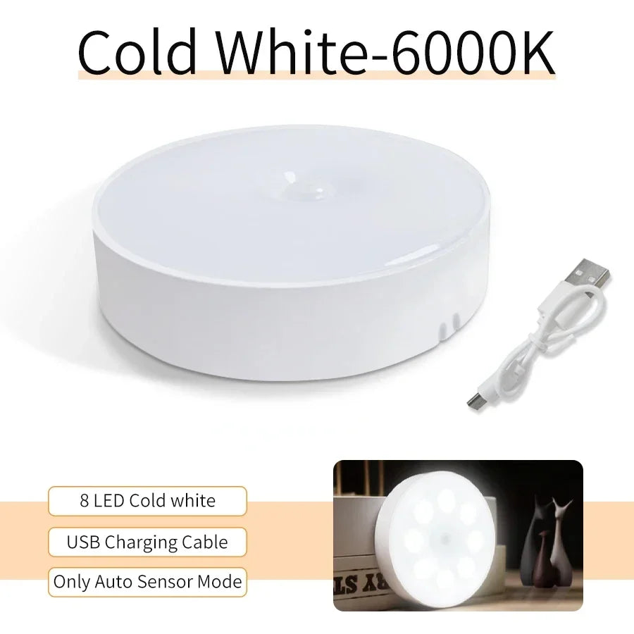 LED Night Light Motion Sensor Light (Rechargeable)