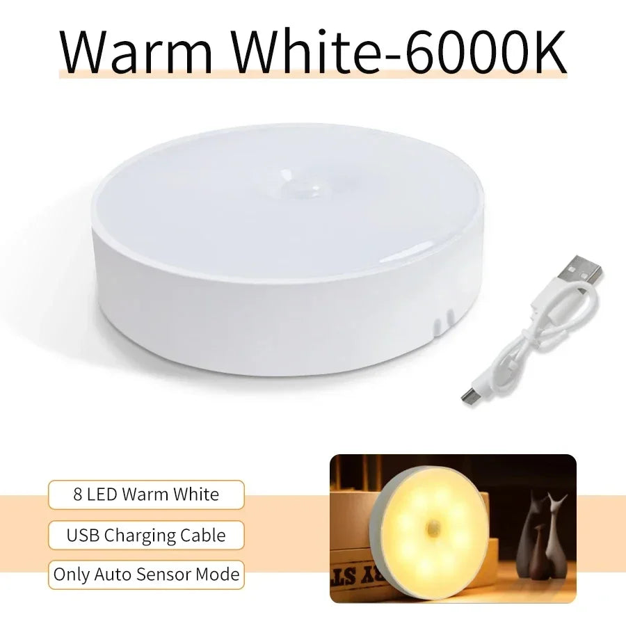 LED Night Light Motion Sensor Light (Rechargeable)