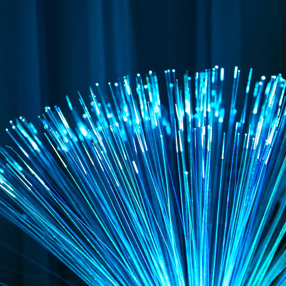LED Fiber Light Colorful Optic Lamp